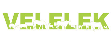 Velelek